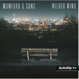 81zpM2NwflL._SX425_PJautoripBadge,BottomRight,4,-40_OU11__