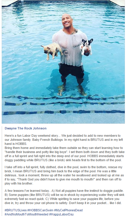 tumblr_nubzksmagT1s1zka4o1_500