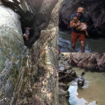 tumblr_nvg5u0z86k1qa24muo1_500