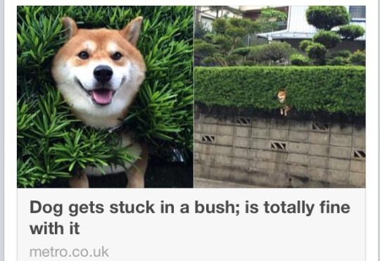 tumblr_ntltj3V4Th1ry0jmro1_540