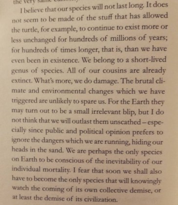 tumblr_o4v7bzNsKf1qa24muo1_500